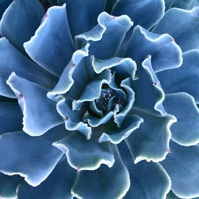 Photographic Print, , small
