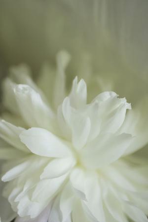 Photographic Print, , small