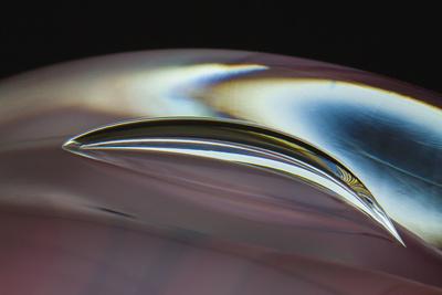 Photographic Print, , small