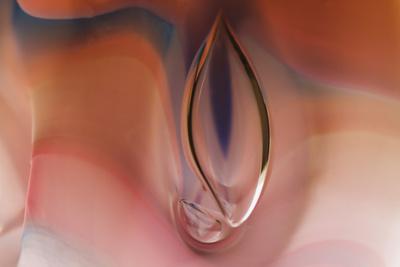 Photographic Print, , small