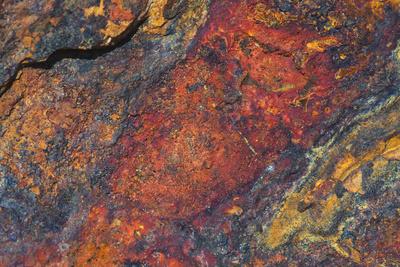 Photographic Print, , small