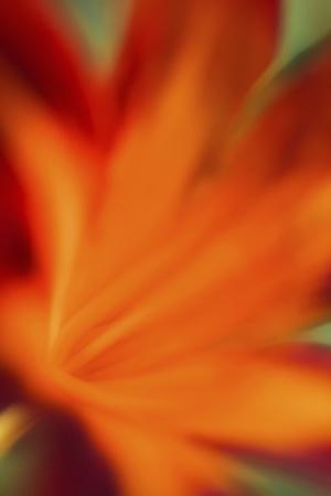 Photographic Print, , small