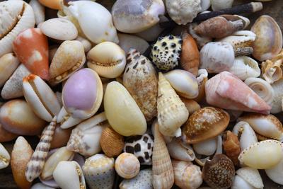 Photographic Print, , small