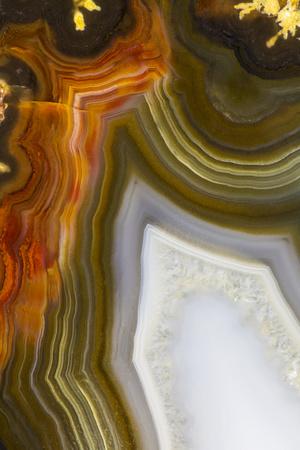 Photographic Print, , small