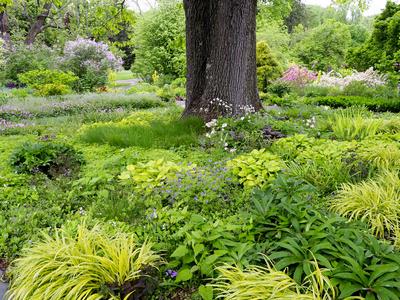 Photographic Print, , small