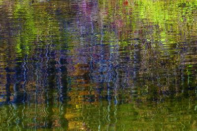 Photographic Print, , small