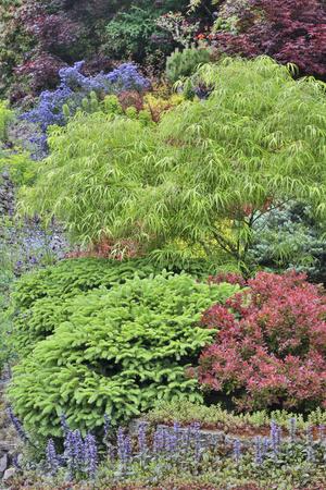 Photographic Print, , small