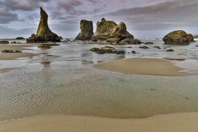 Photographic Print, , small