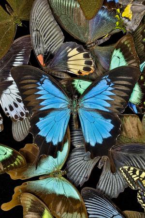 Photographic Print, , small