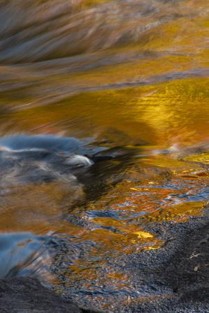 Photographic Print, , small