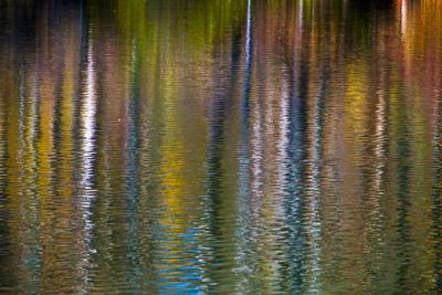 Photographic Print, , small