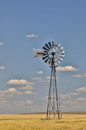 Photographic Print, , small