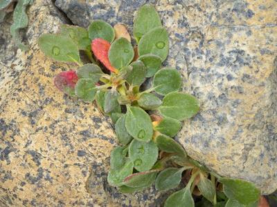 Photographic Print, , small