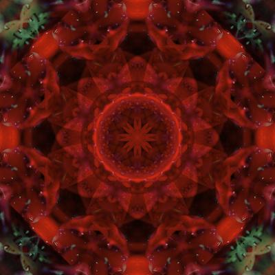 Photographic Print, , small