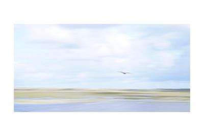 Photographic Print, , small