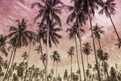 Photographic Print, , small