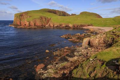 Photographic Print, , small