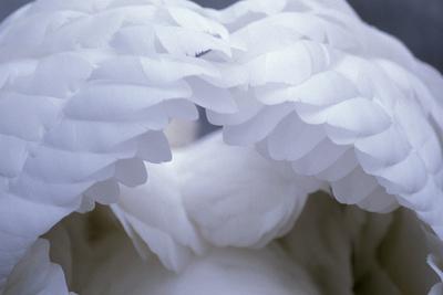 Photographic Print, , small