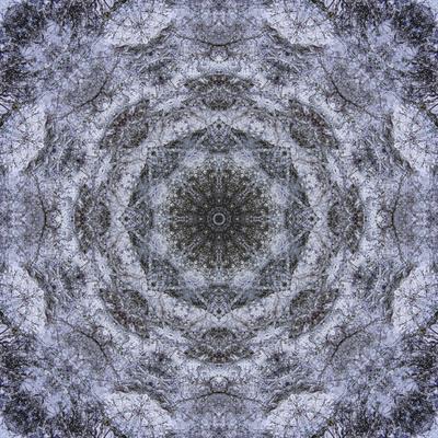 Photographic Print, , small