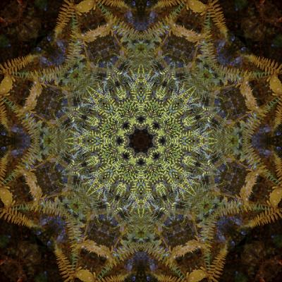 Photographic Print, , small
