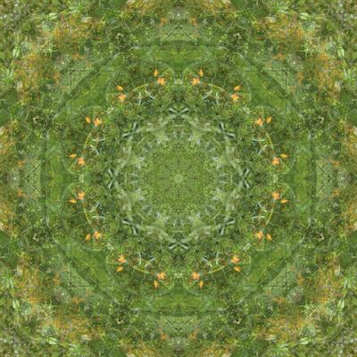 Photographic Print, , small