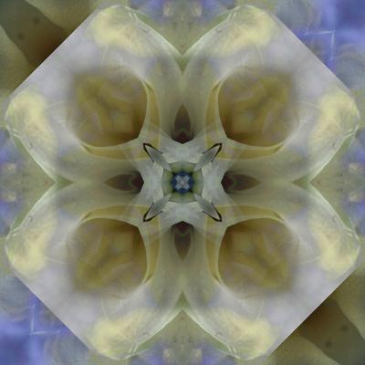 Photographic Print, , small