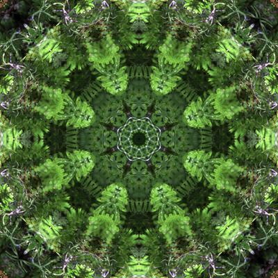 Photographic Print, , small