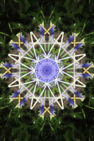 Photographic Print, , small