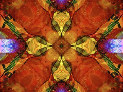 Photographic Print, , small