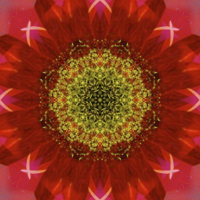 Photographic Print, , small