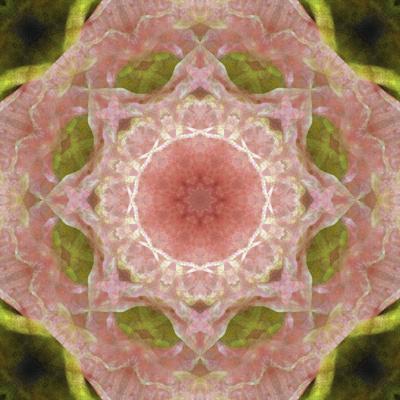 Photographic Print, , small
