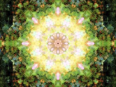 Photographic Print, , small