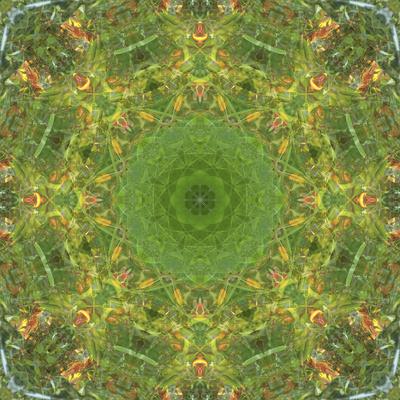 Photographic Print, , small