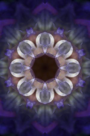 Photographic Print, , small