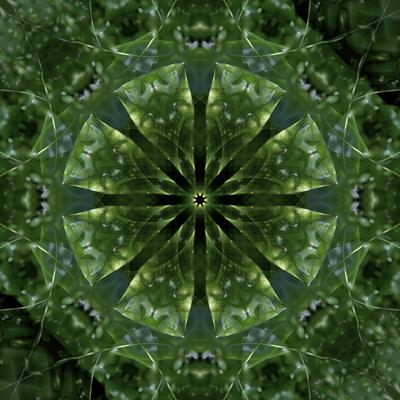 Photographic Print, , small