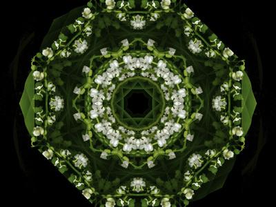 Photographic Print, , small