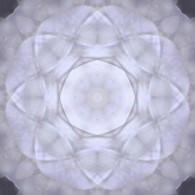 Photographic Print, , small