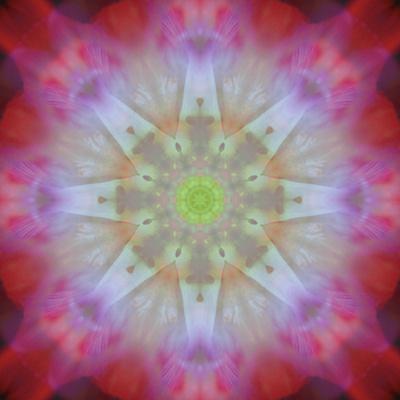 Photographic Print, , small