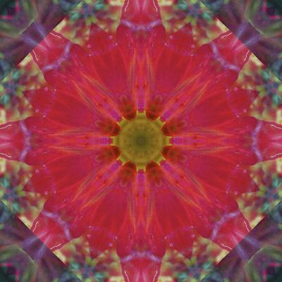Photographic Print, , small