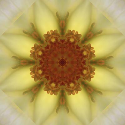 Photographic Print, , small