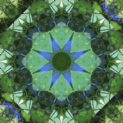 Photographic Print, , small