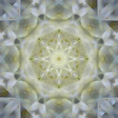 Photographic Print, , small