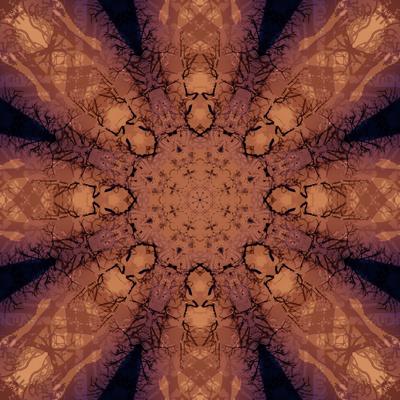 Photographic Print, , small