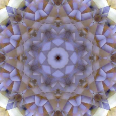 Photographic Print, , small