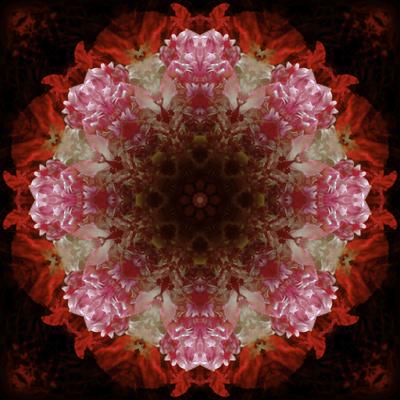 Photographic Print, , small