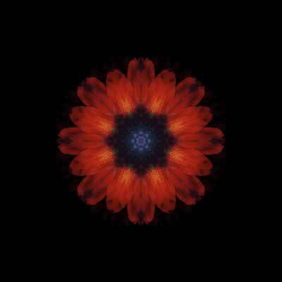 Photographic Print, , small