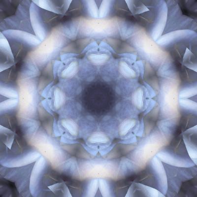 Photographic Print, , small