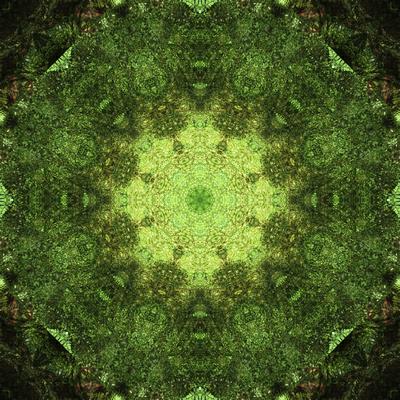 Photographic Print, , small