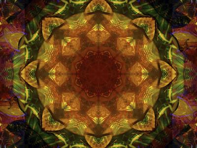 Photographic Print, , small