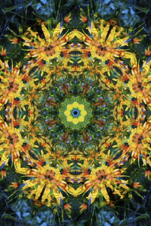 Photographic Print, , small